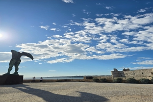 descrizione immagine