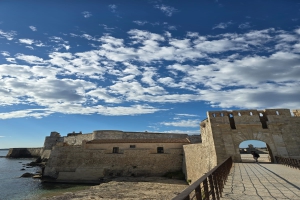 descrizione immagine